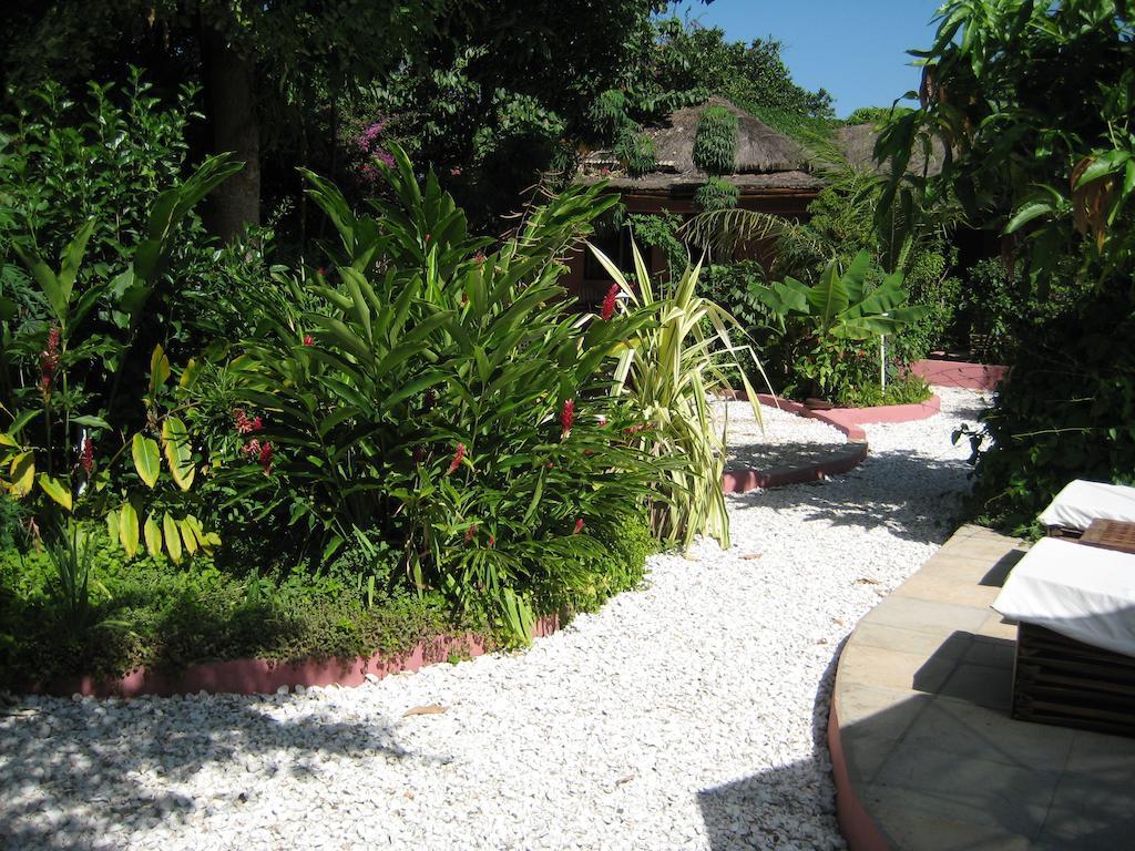 Hotel Hibiscus House Gambia Brufut Zewnętrze zdjęcie